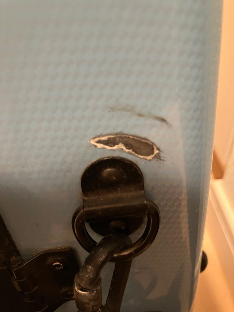 ヴィオラ(ビオラ)ケース　水色