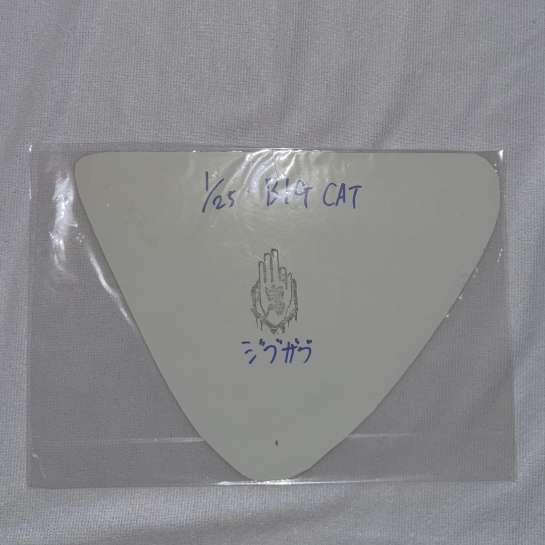 真天地開闢集団ジグザグ フライヤー まとめ売り Ray℃ 切り抜き