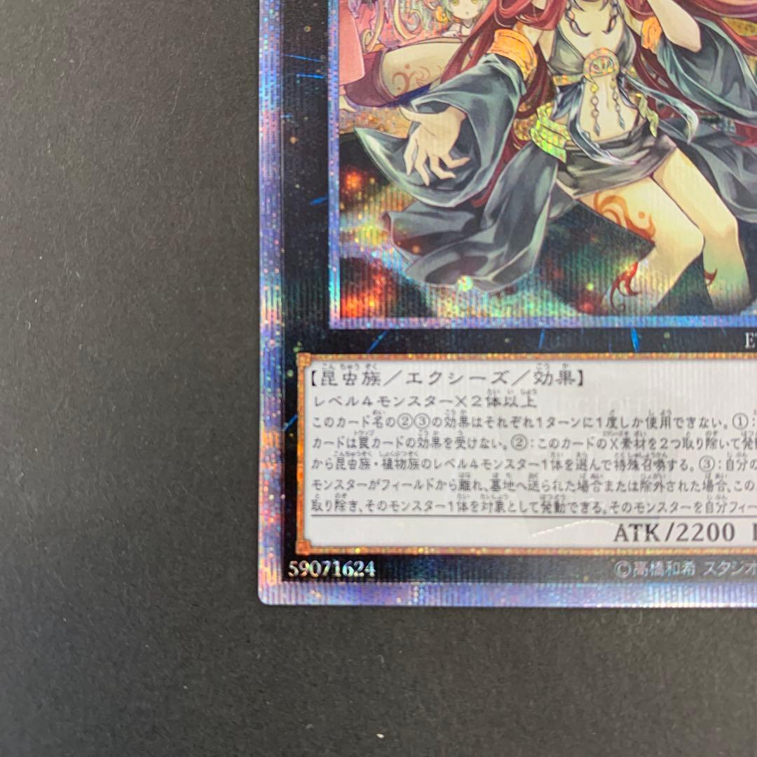 ETCO-JP045 アロメルスの蟲惑魔 20th