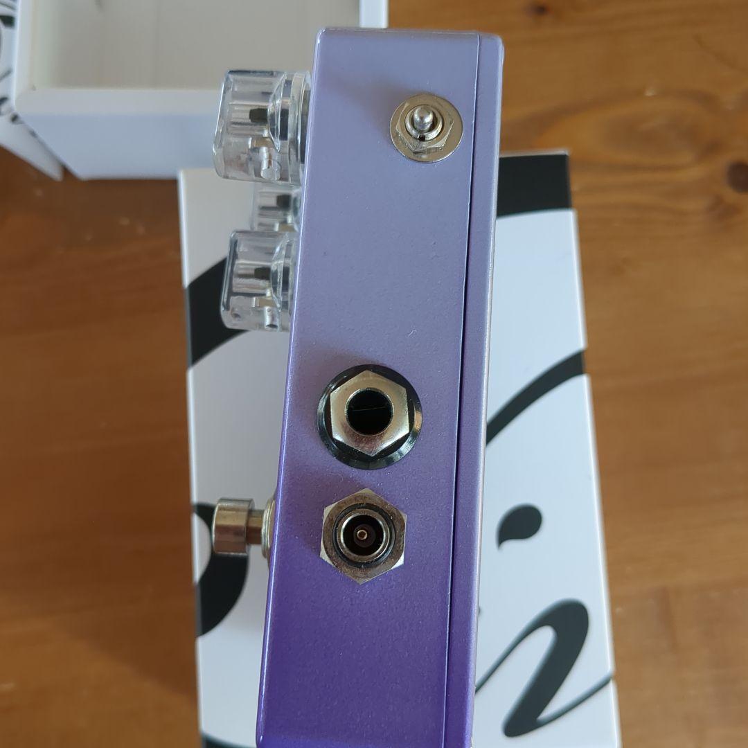 ギター Vivie WildCat