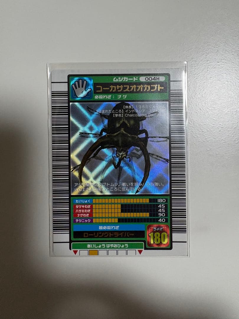 コーカサスオオカブト　2003 AUTUMN