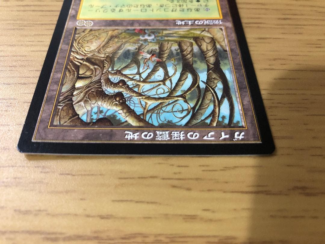 ガイアの揺籃の地/Gaea's Cradle 日本語版1枚 USG MTG