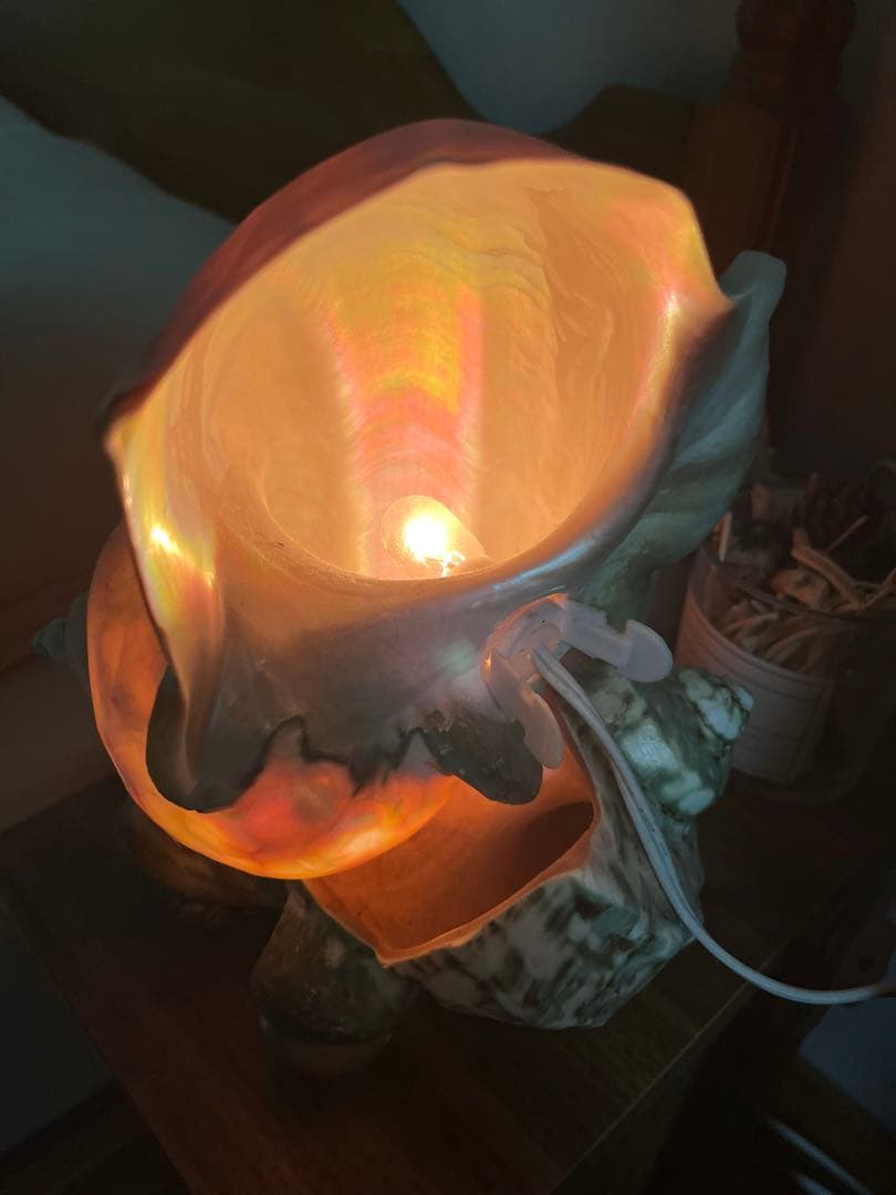 夜光貝　インテリア　ライト　小物