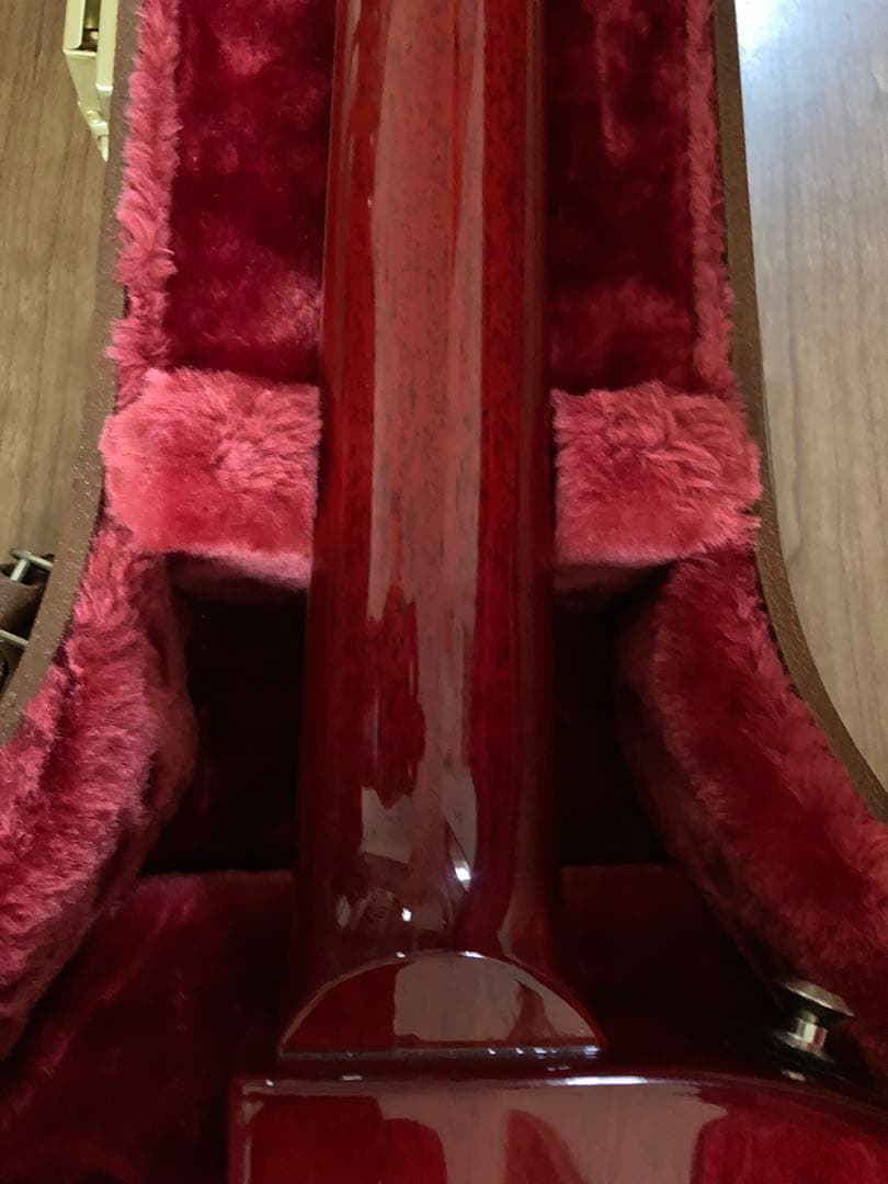 Gibson Les Paul Special 2022年製 ハードケース付き