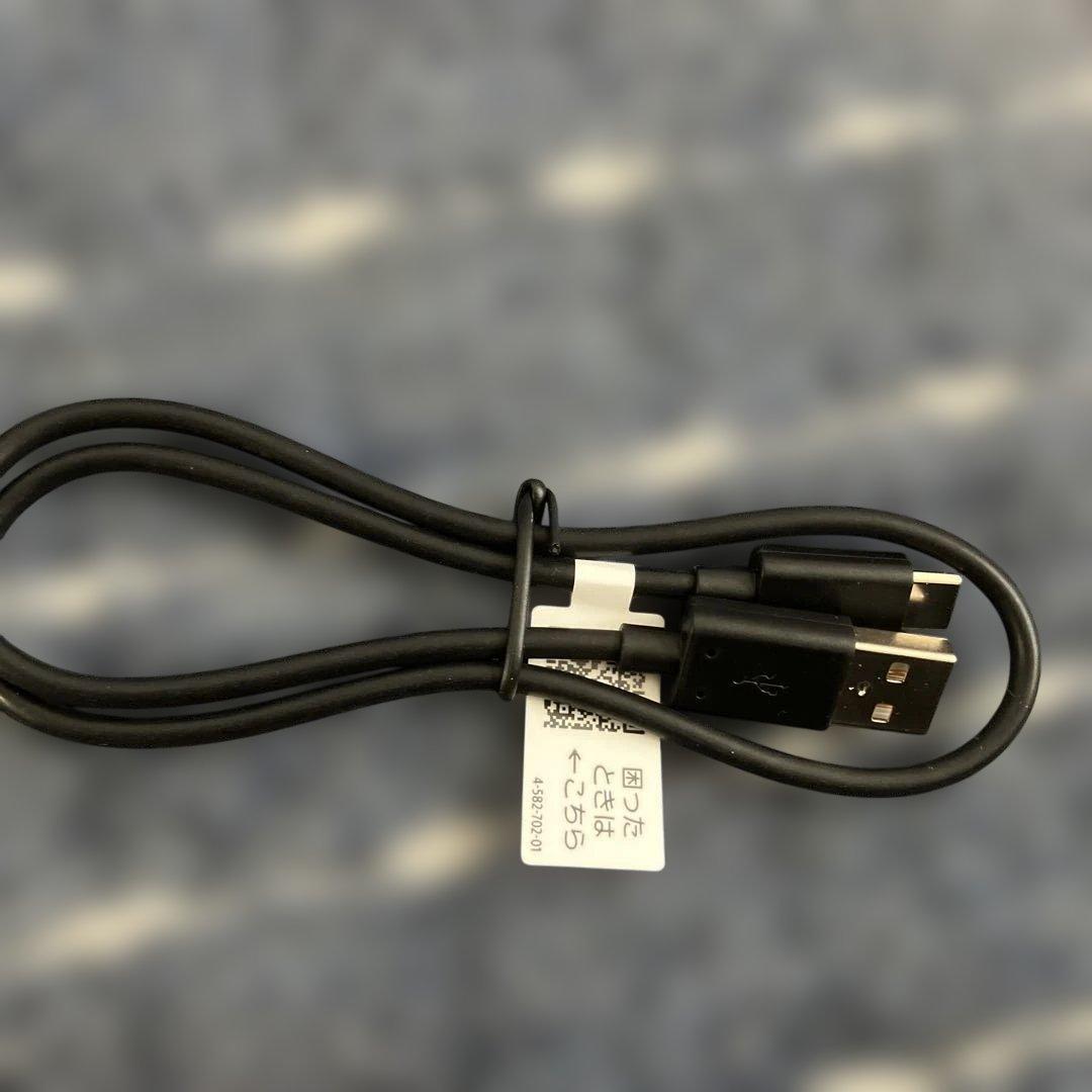 SONY NW-A106 レッド 32GB デジタルオーディオプレーヤー