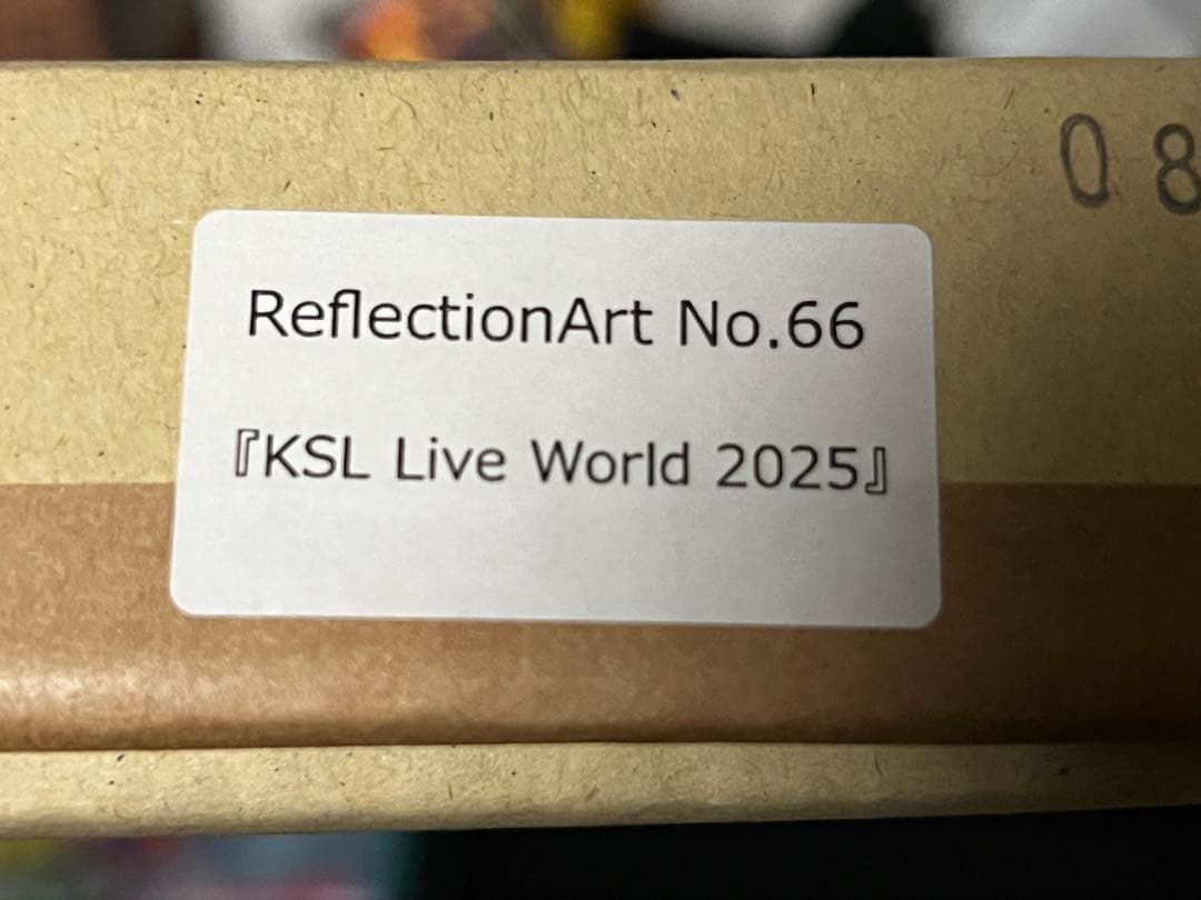 その他 Reflection Art No66 KSL Live World 2025