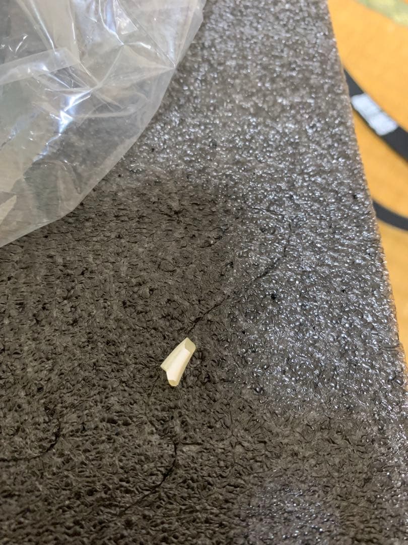 ガレージキット　ベジット