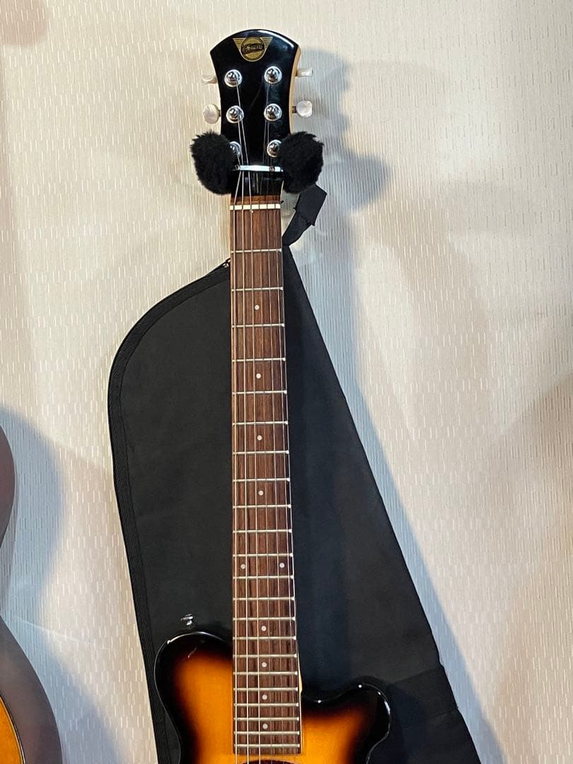 スピーカー音出し確認済み！初心者用ピグノーズ持ち運びに便利！ソフトケース付き