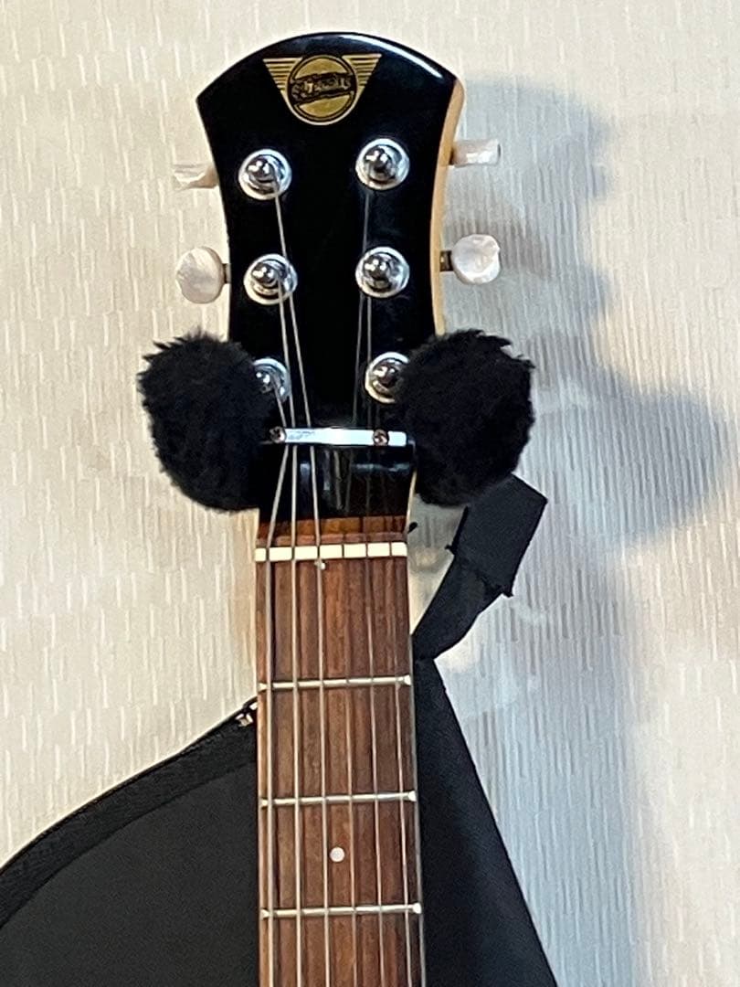 スピーカー音出し確認済み！初心者用ピグノーズ持ち運びに便利！ソフトケース付き