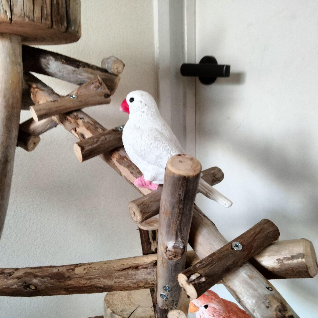 バードアスレチックジム㊼ 天然木 自然木 流木 止まり木 インコ