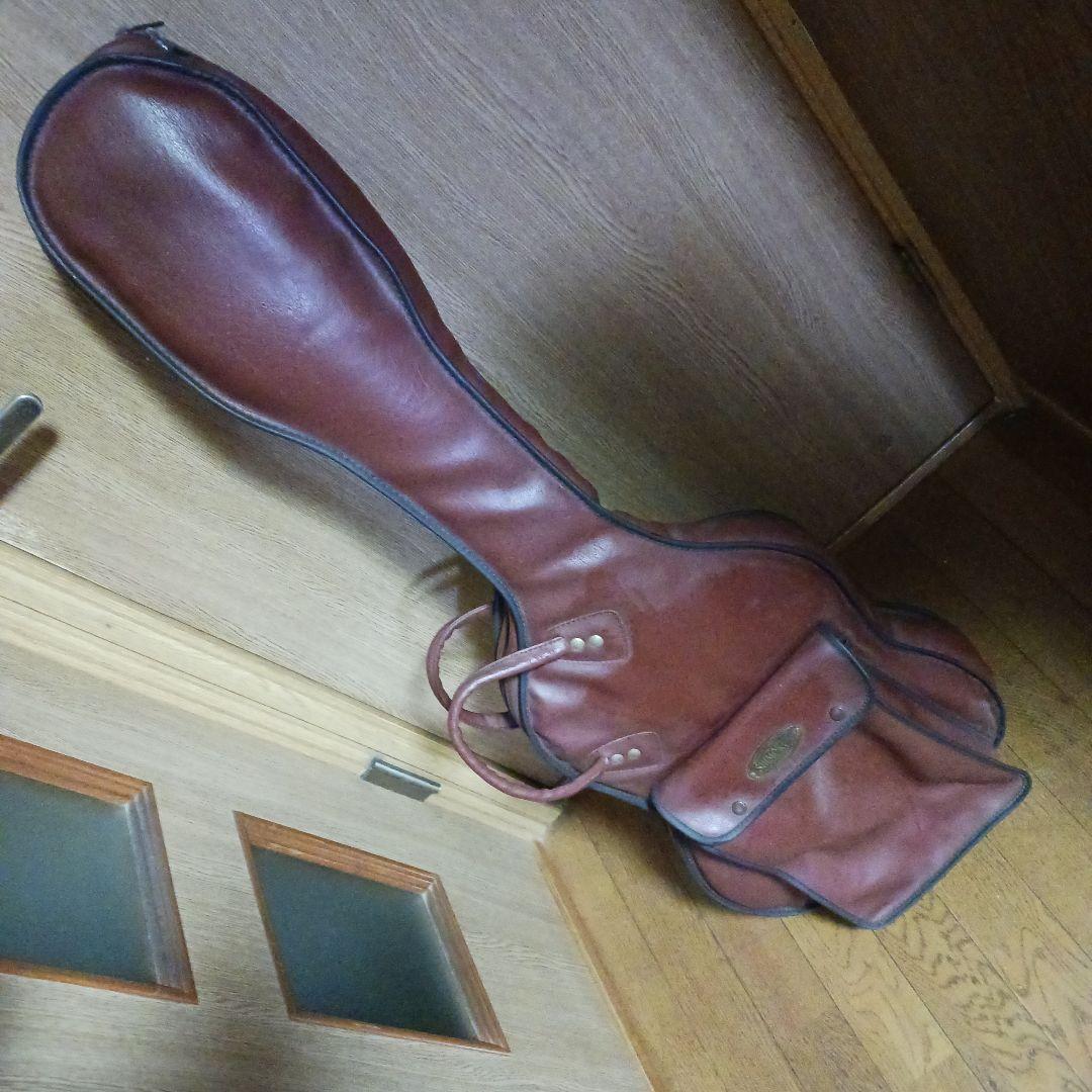 アリアプロ2＆ソフトケース