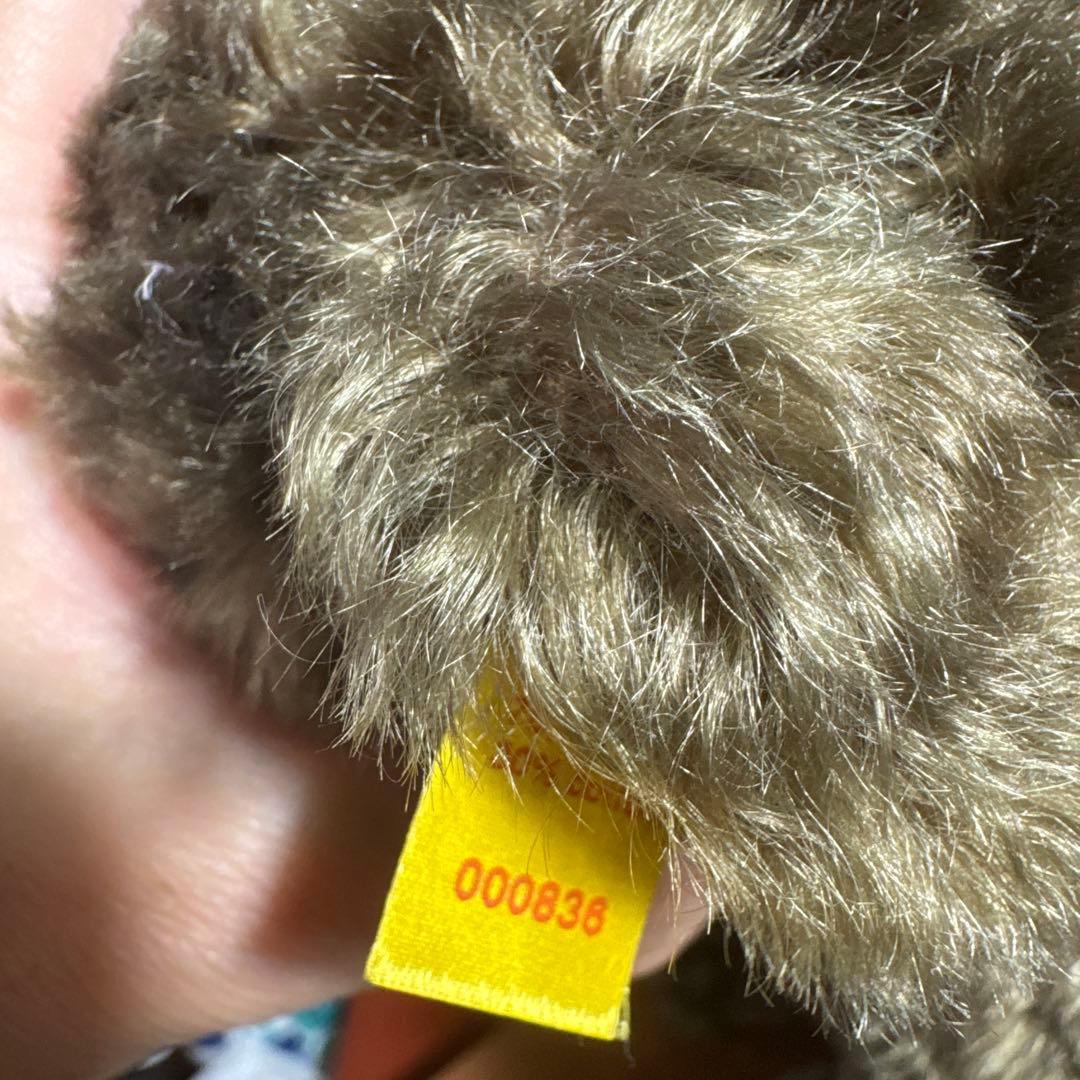 シュタイフ　1920 Classic ドイツで購入