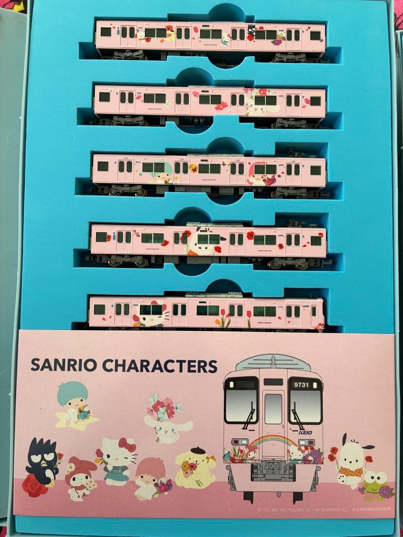 T*D様 京王9000系 『サンリオキャラクターズフルラッピングトレイン』10両