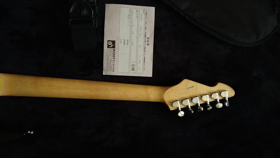 ギター PEAVEY RAPTOR PLUS EXP