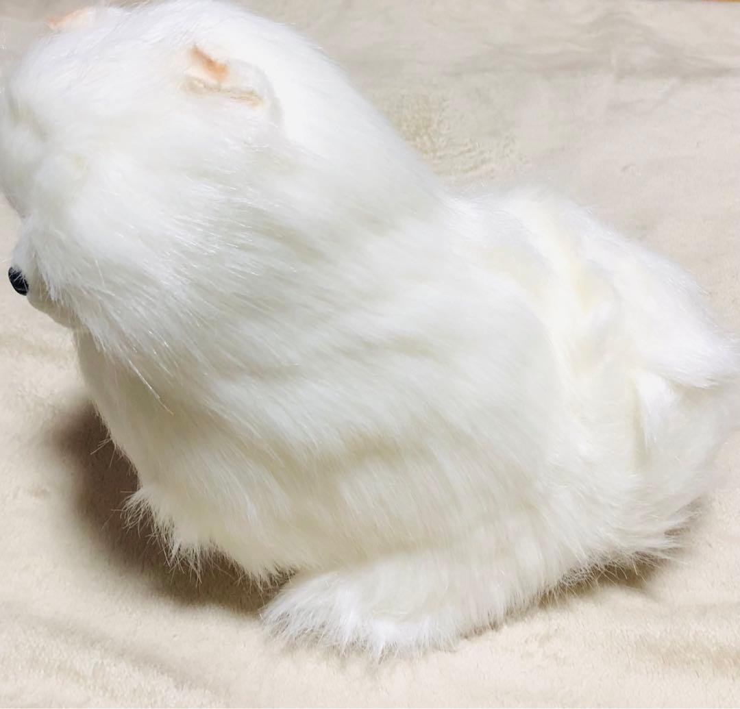 犬　三英　スピッツ　ポメラニアン　ぬいぐるみ