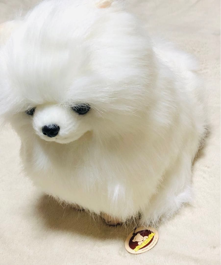 犬　三英　スピッツ　ポメラニアン　ぬいぐるみ