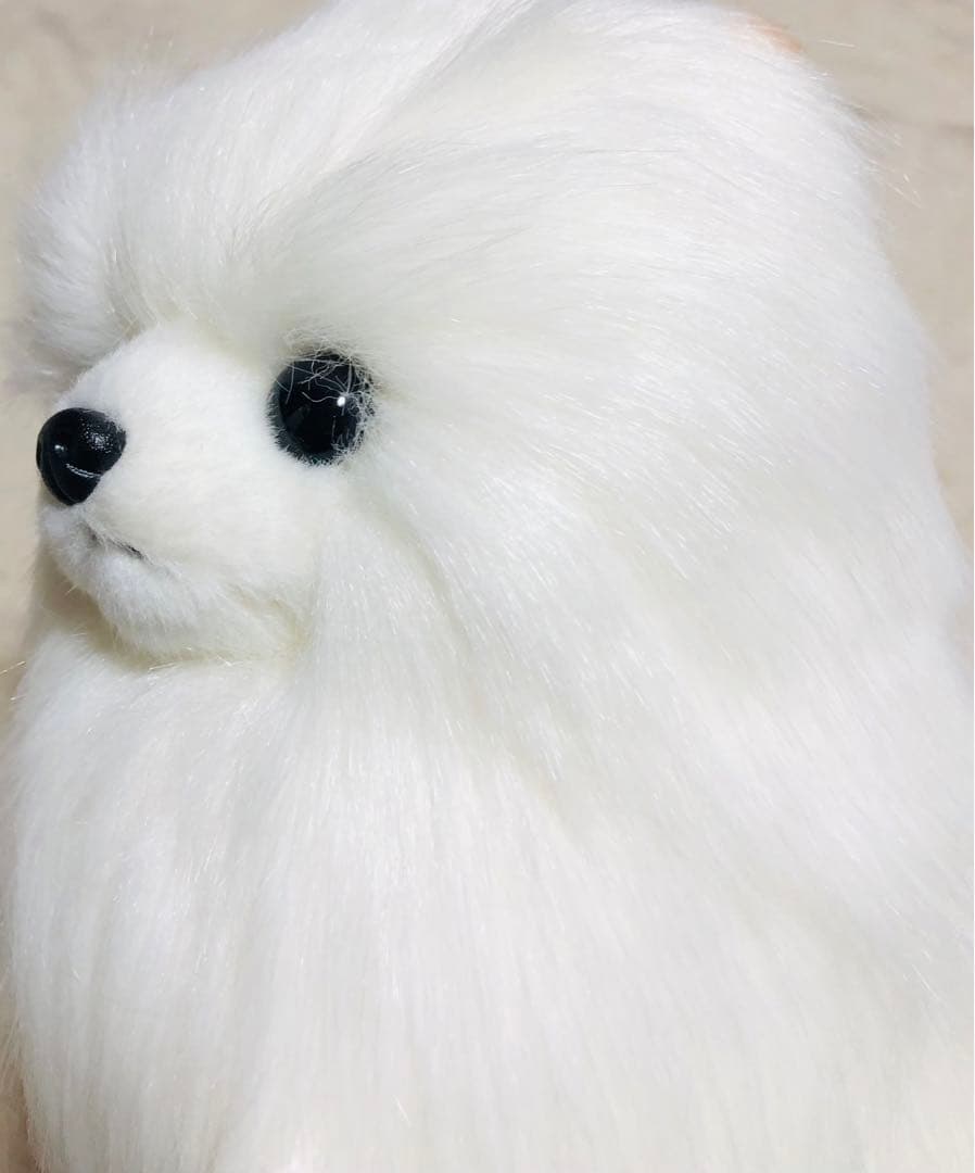 犬　三英　スピッツ　ポメラニアン　ぬいぐるみ