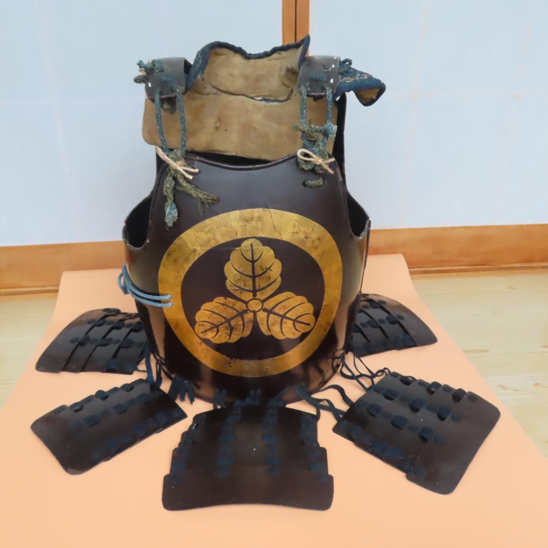 丸に三つ柏紋　貸し具足（江戸時代）/鎧・甲冑・胴