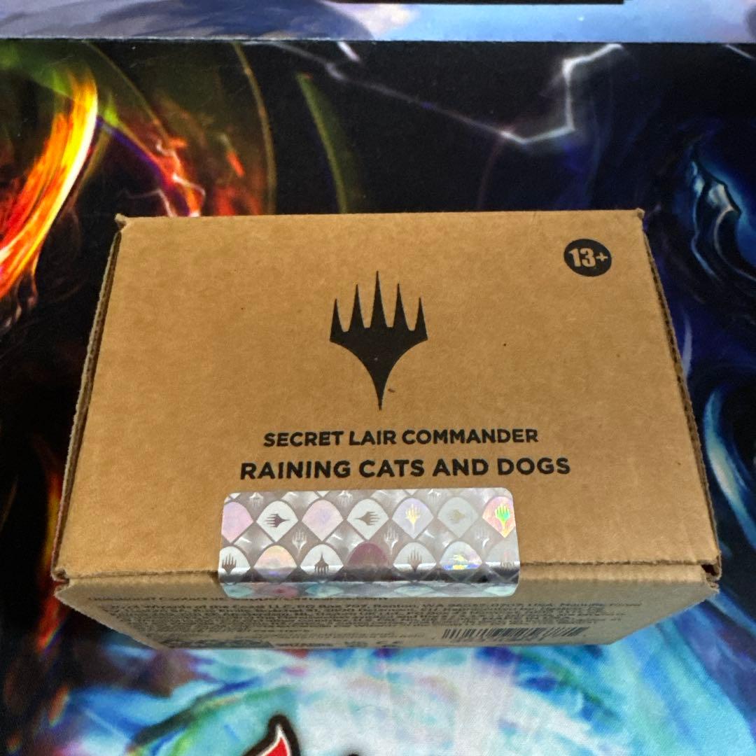 マジック：ザ・ギャザリング RAINING CATS AND DOGS