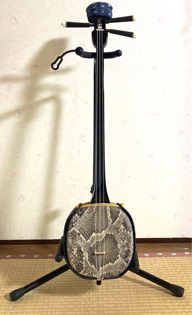 三線 本体 皮 ケース付(希望の方はスタンド