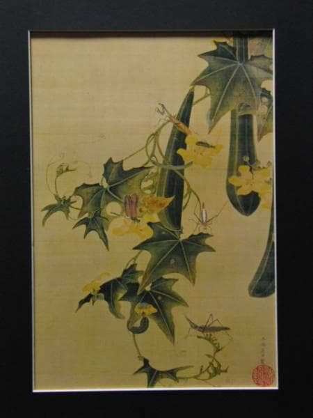 伊藤若沖、糸瓜群虫図、超希少・大判画集画、新品高級額装付
