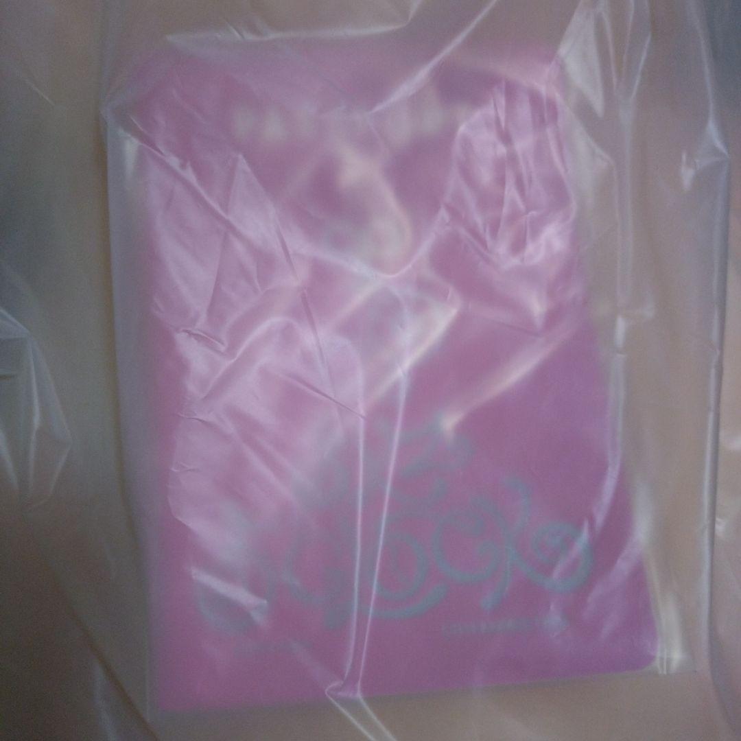 StrayKids　テディベア　パピーム　スンミン　skzoo