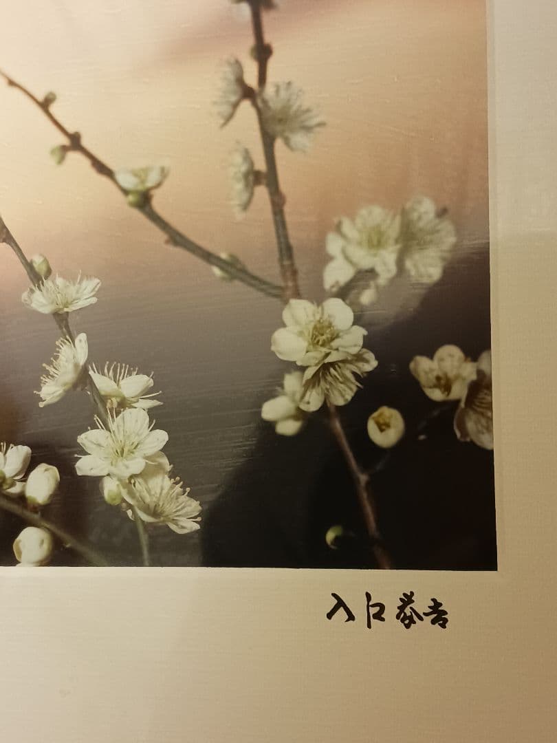 入江泰吉　うめ　写真家　入江泰吉記念奈良市写真美術館　和