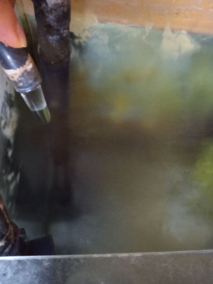 エーハイム　プロフェッショナル4　2273