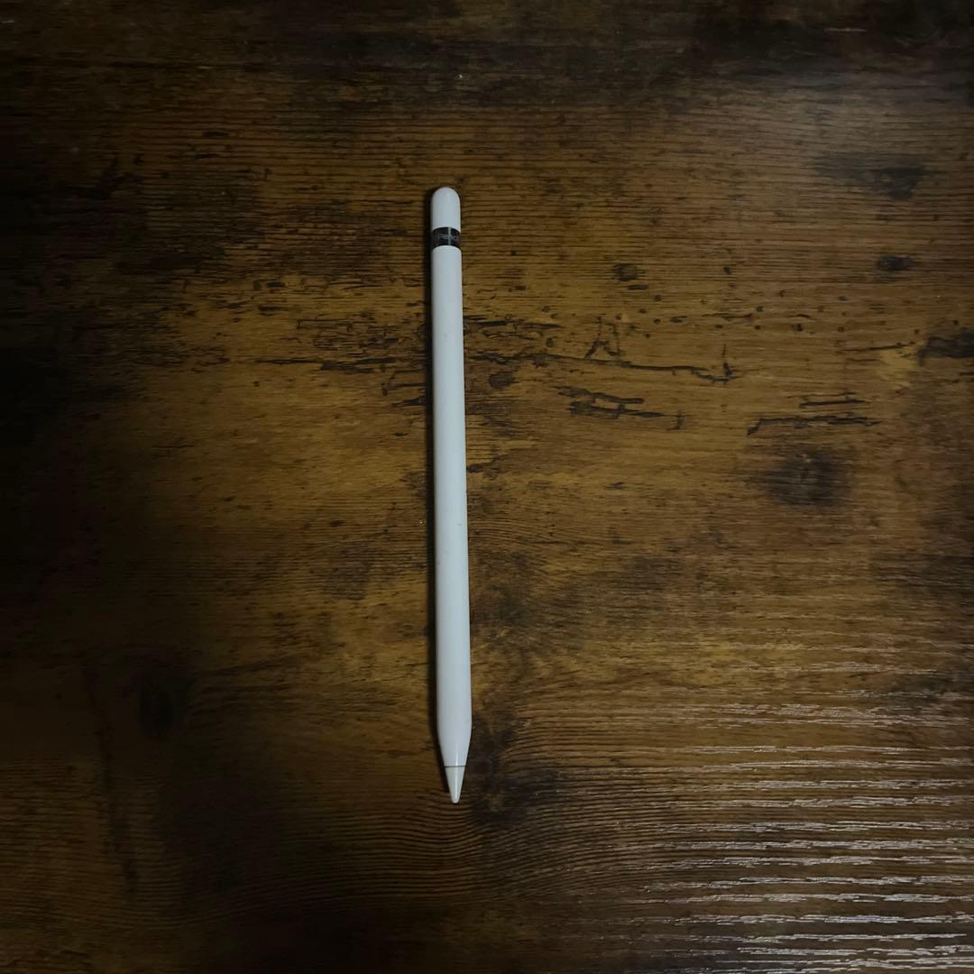 iPad Pro 256GB Applepencil付き 箱無し