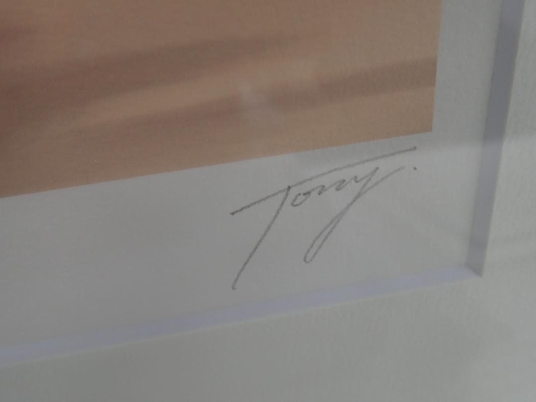 ⑪新品・保証書付 Tony トニー「シーナ」ミクスドメディア　アールビバン