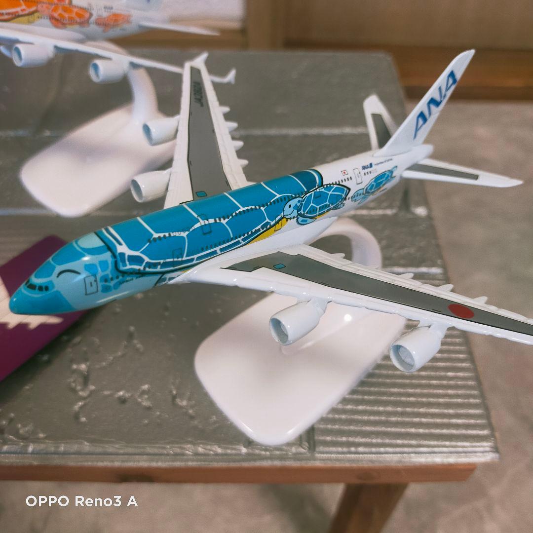 12/12 NEW!! フライングホヌ／3色…1/500 /a380