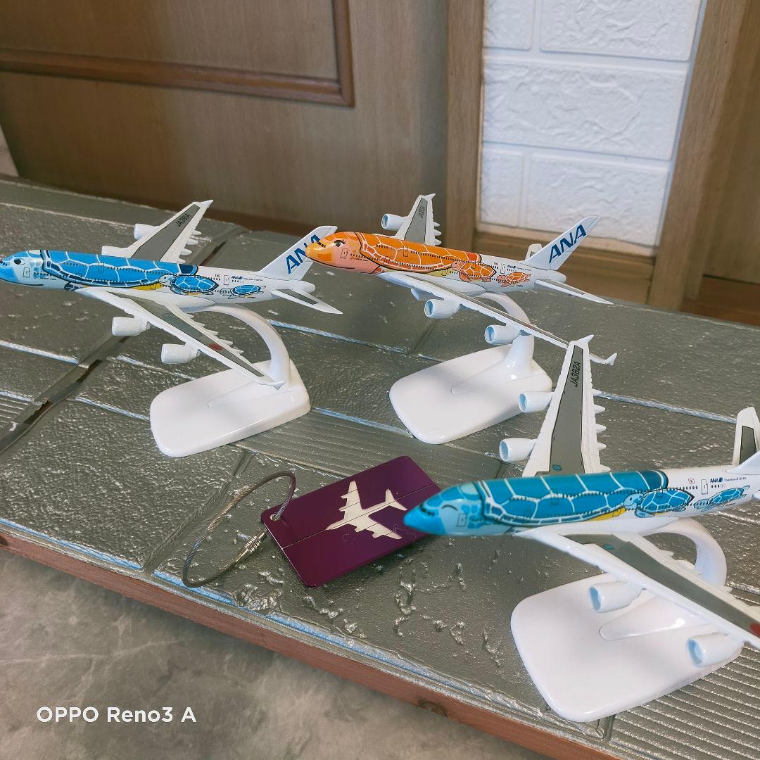 12/12 NEW!! フライングホヌ／3色…1/500 /a380