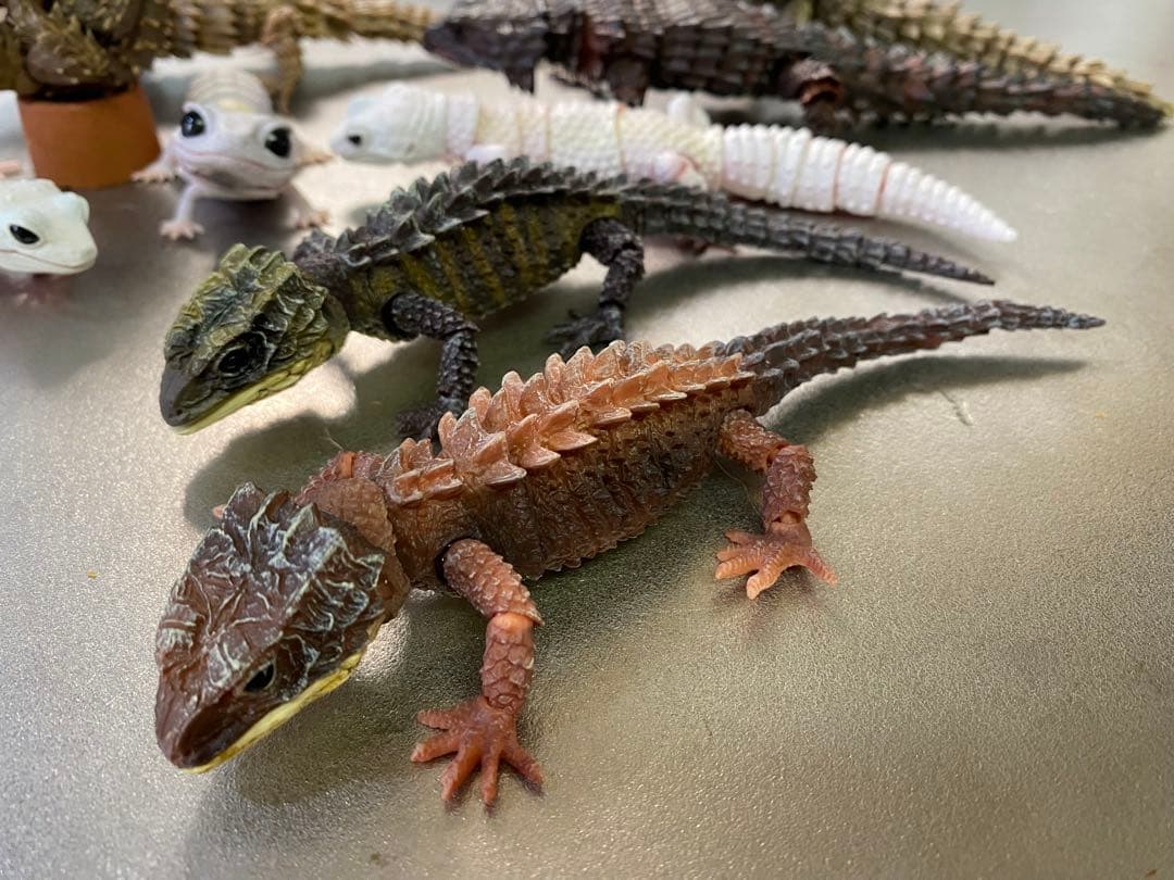 アルマジロトカゲ ほか 11体セット いきもの大図鑑 トカゲ