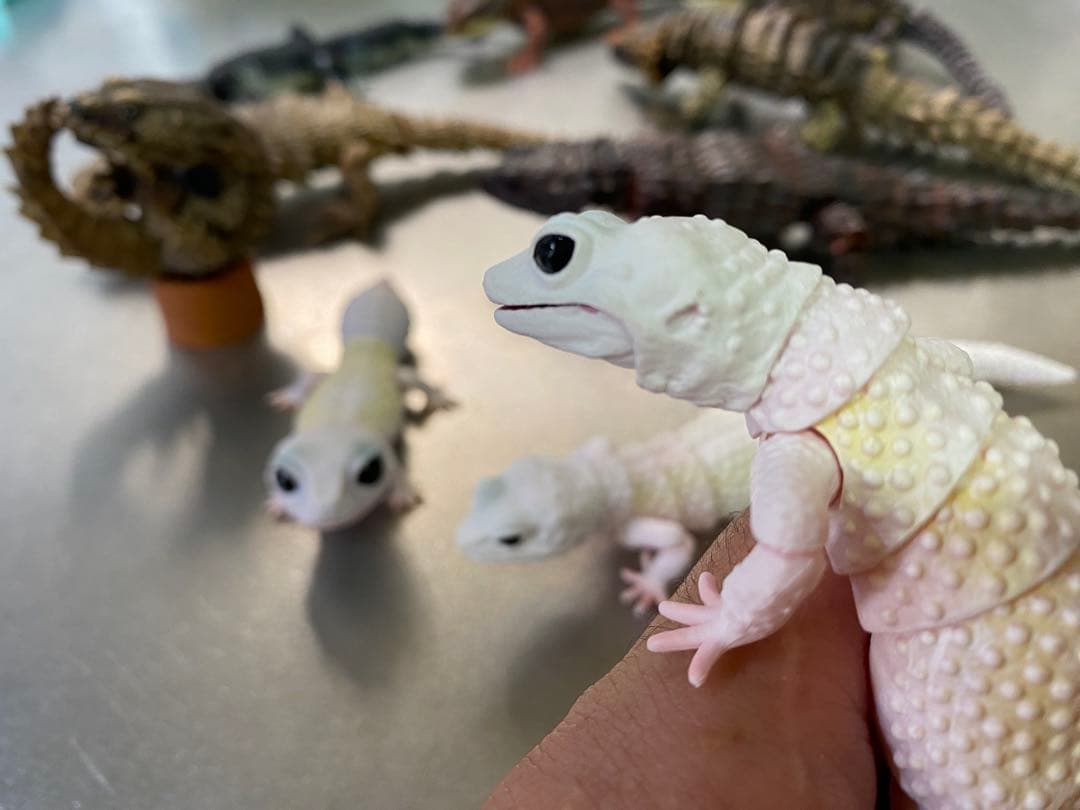 アルマジロトカゲ ほか 11体セット いきもの大図鑑 トカゲ