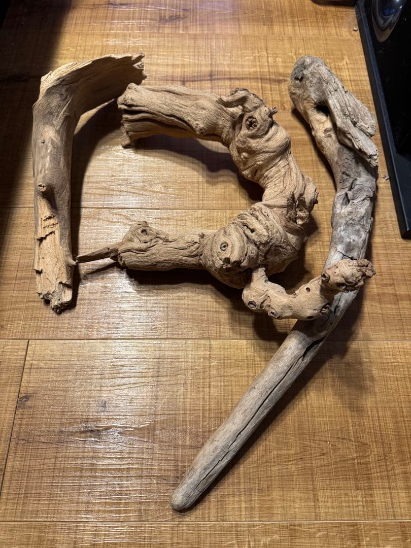 引き取り可　爬虫類ケージ鍵付　90✖︎45✖︎45 ハチクラ　エキゾテラ　オマケ多数