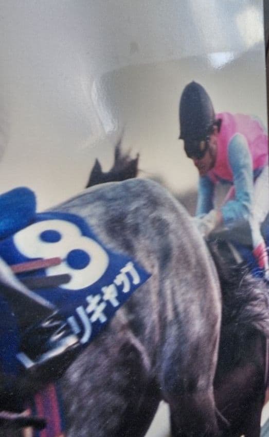 競馬パネル　オグリキャップ