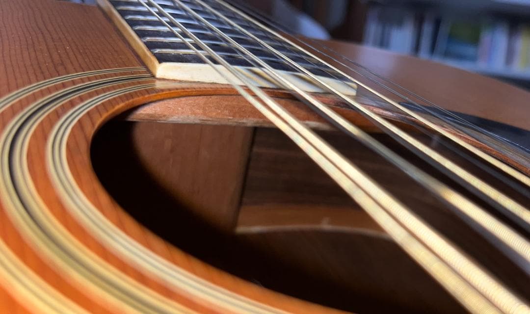 MARUHA GAKKI T300M 12弦ギター マルハ 0フレット