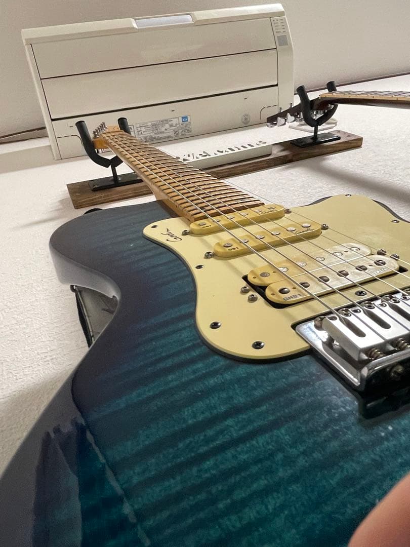 godin SD24 レア物