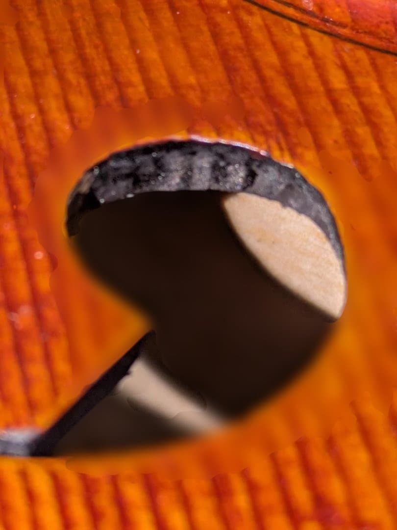 【kaekae専用】チェロ　4/4　2000年制　Walter S. Chen