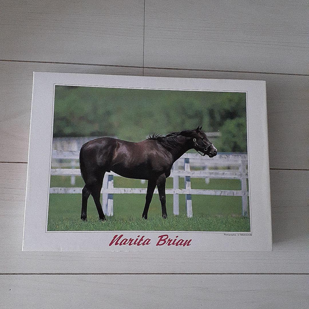 【希少美品】ジグソーパズル ヒストリーオブホース ナリタブライアン 500ピース