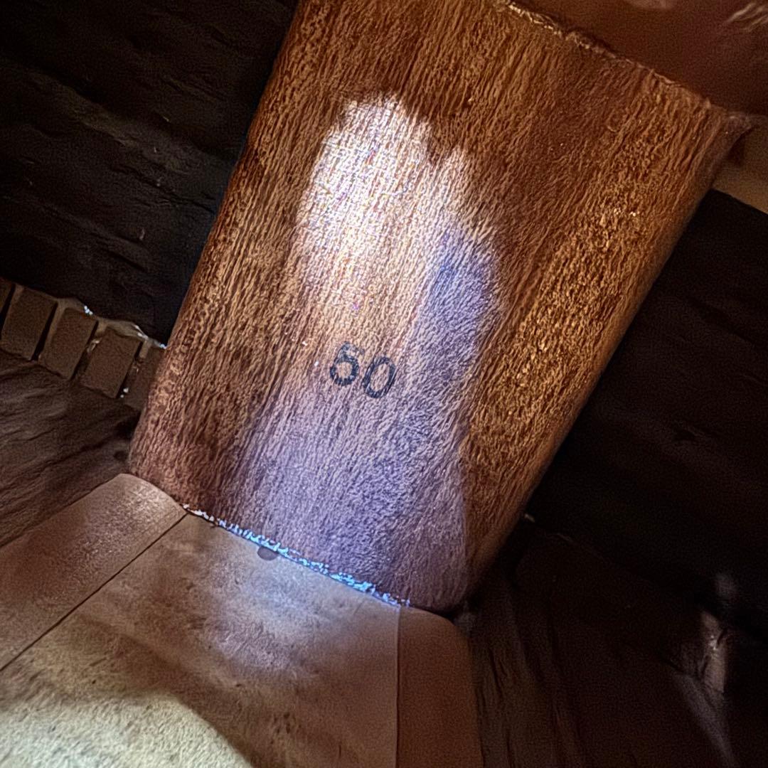 激鳴 TF MORRIS SPECIAL W-50 単板アコースティックギター