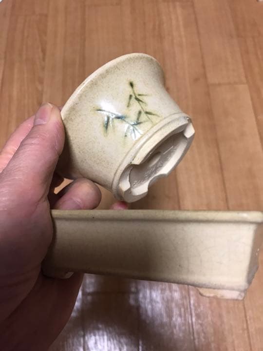 美豊　日本小品盆栽名品展出品記念ミニ盆栽鉢青竹絵付け他貫入白長方ミニ鉢白鉢セット