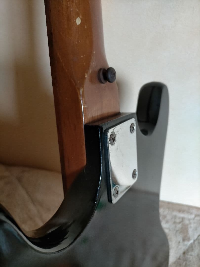 タンタカタンVISION VEG-120 ビジョン