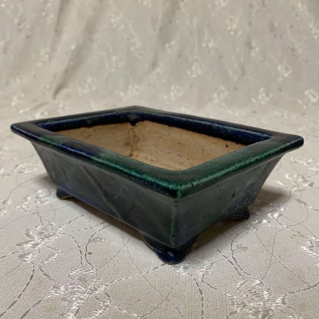 樹晃　長方　盆栽鉢