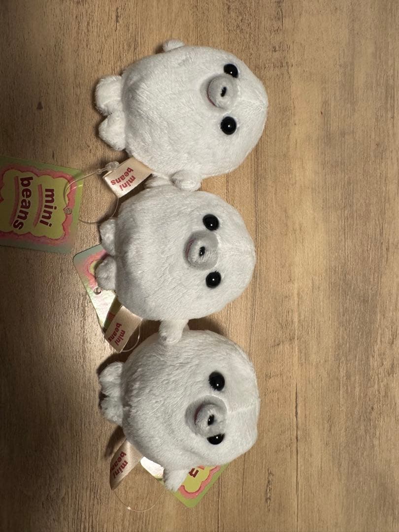 ミニビーンズ　アザラシ・ペンギン・イルカ・セイウチぬいぐるみとサンタ帽子セット