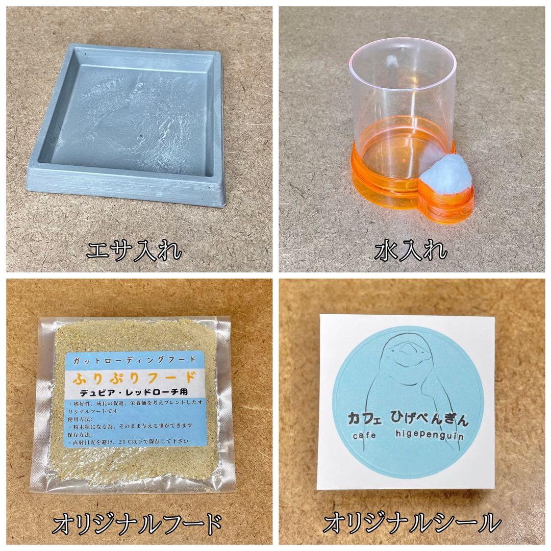 ミッキー1960様　S(フル)