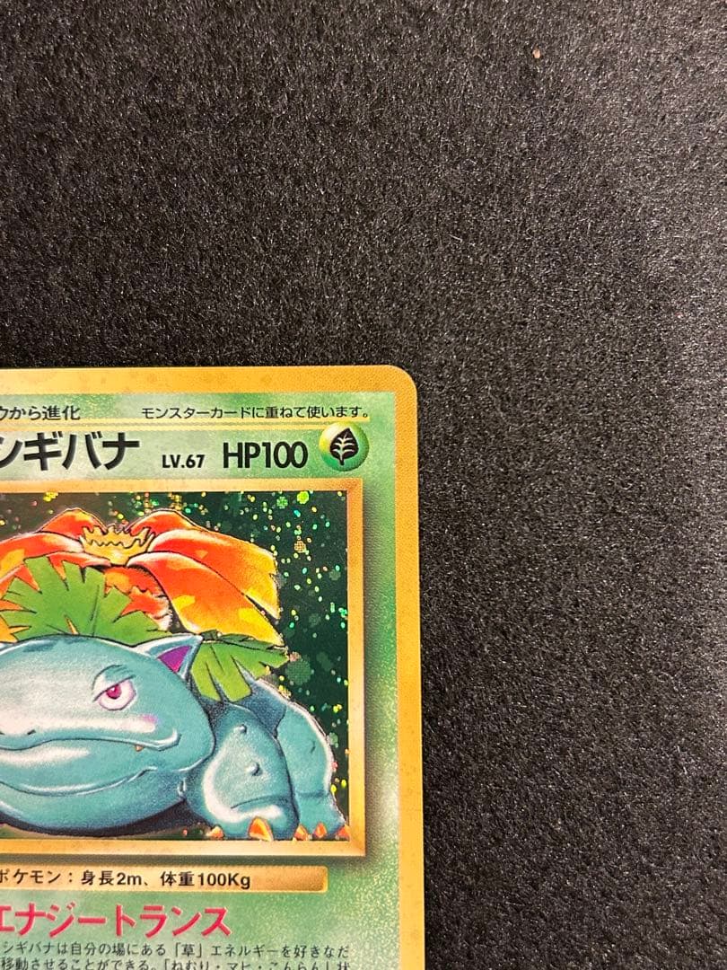 【美品】フシギバナ ポケカ 旧裏 【絶版】