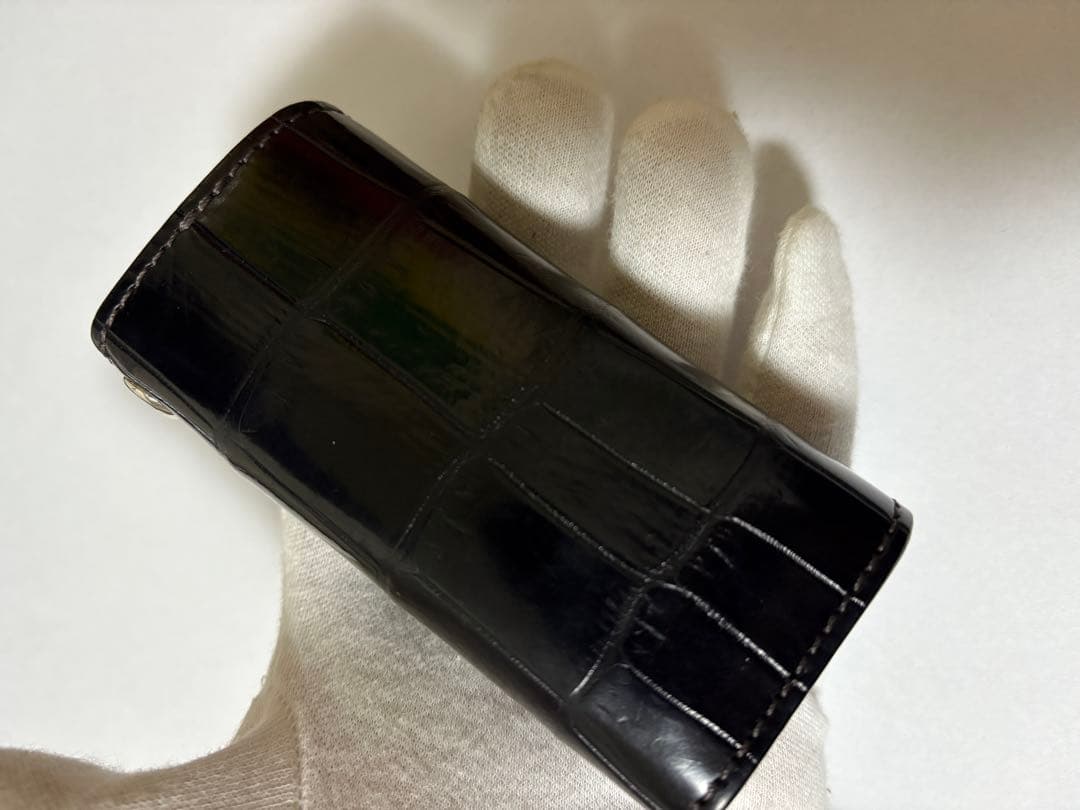 ワイルドスワンズ　クリッパー３　クロコダイル