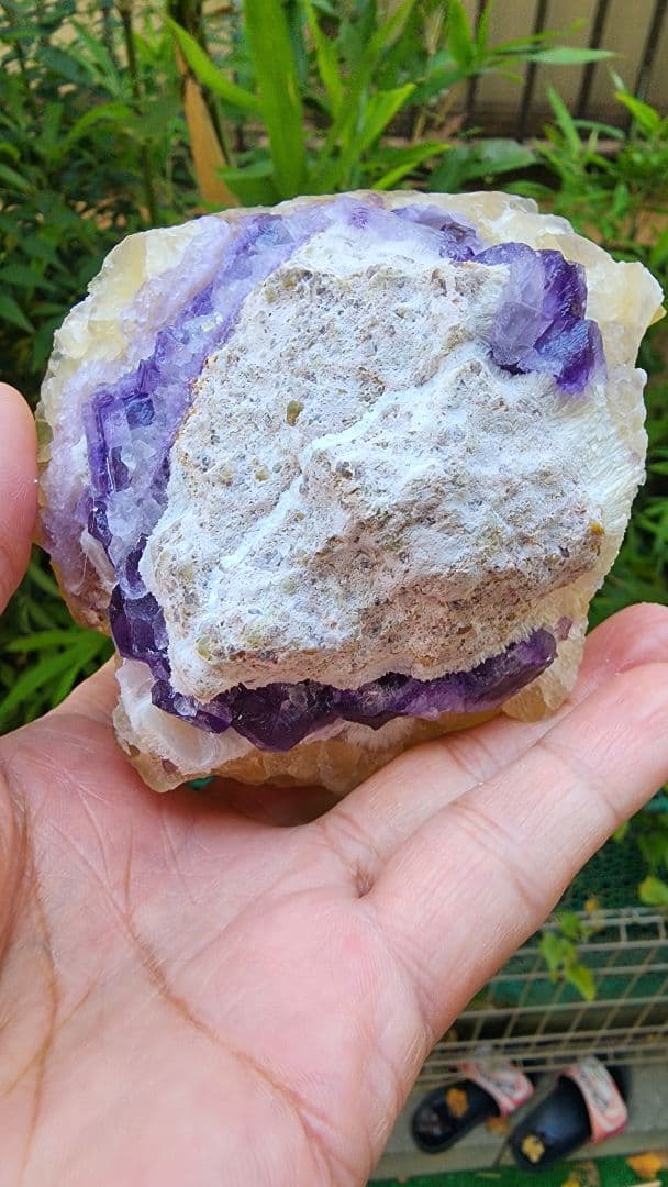 黄色と紫色フローライト　二重層八面体黄色蛍石