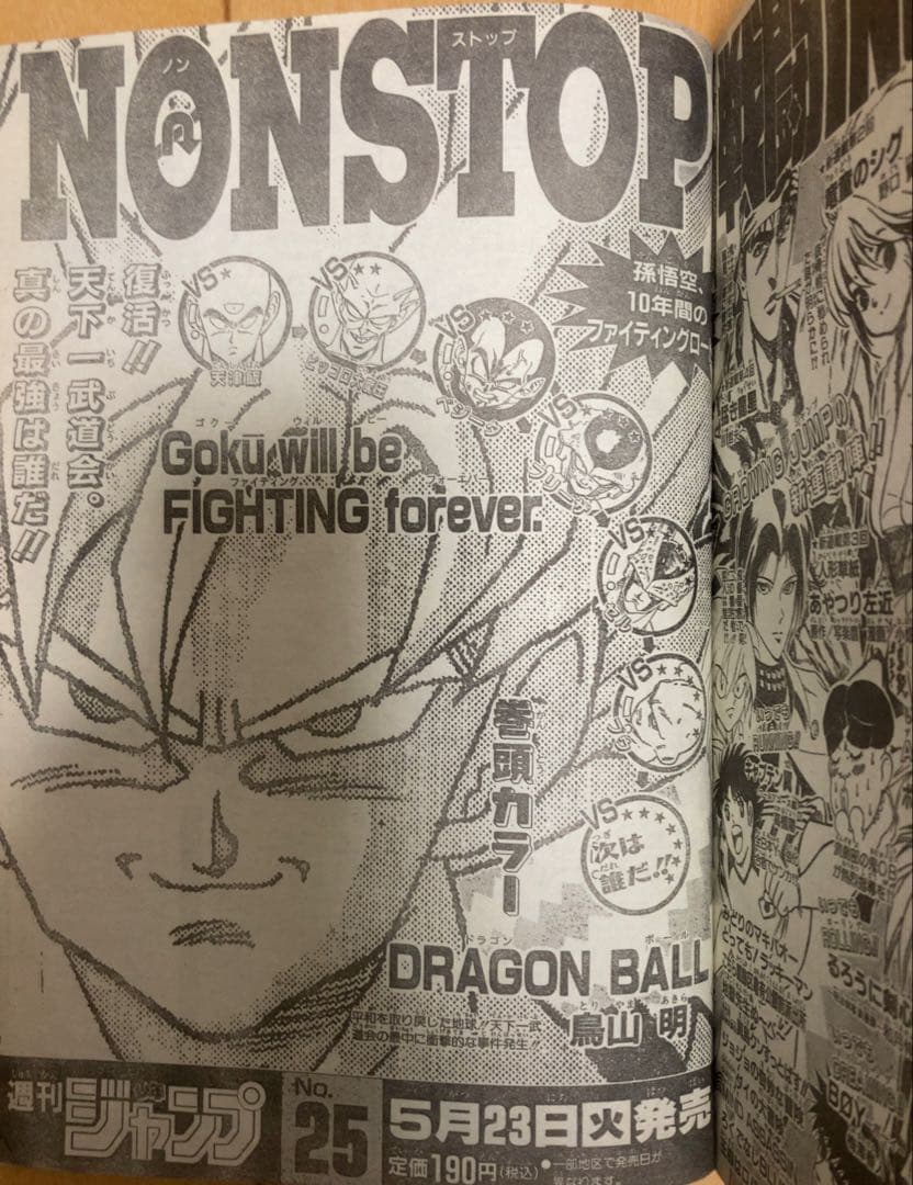 週刊少年ジャンプ　1995年24、25号 【最終回予告&最終回】ドラゴンボール